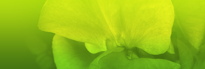 充值网站便宜的简单轰炸机